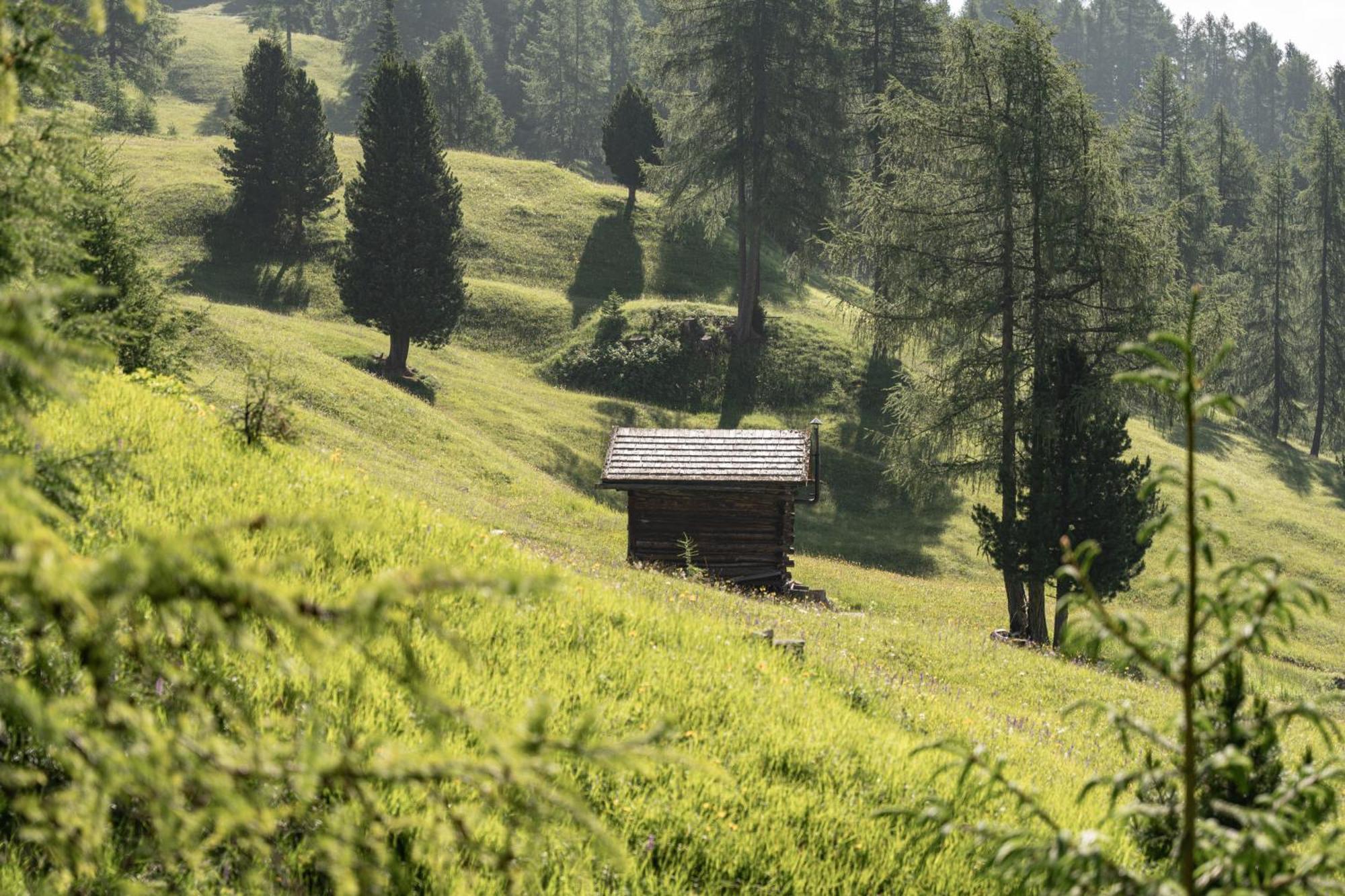 Apartament Ciasa Iachin - Dolomites Dream Retreat San Martino in Badia Zewnętrze zdjęcie