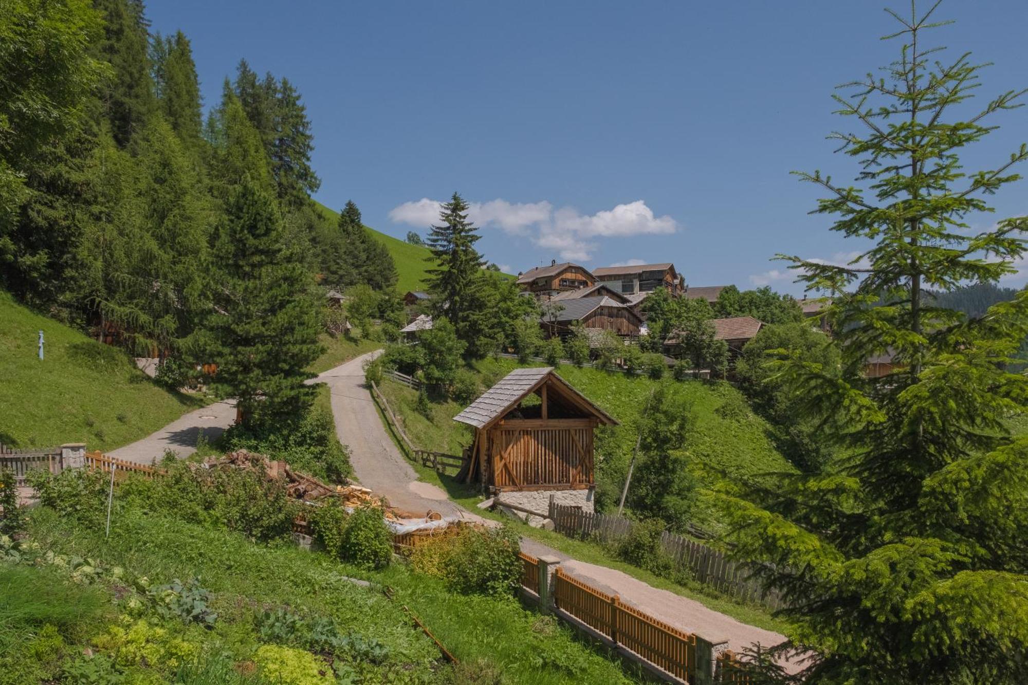 Apartament Ciasa Iachin - Dolomites Dream Retreat San Martino in Badia Zewnętrze zdjęcie