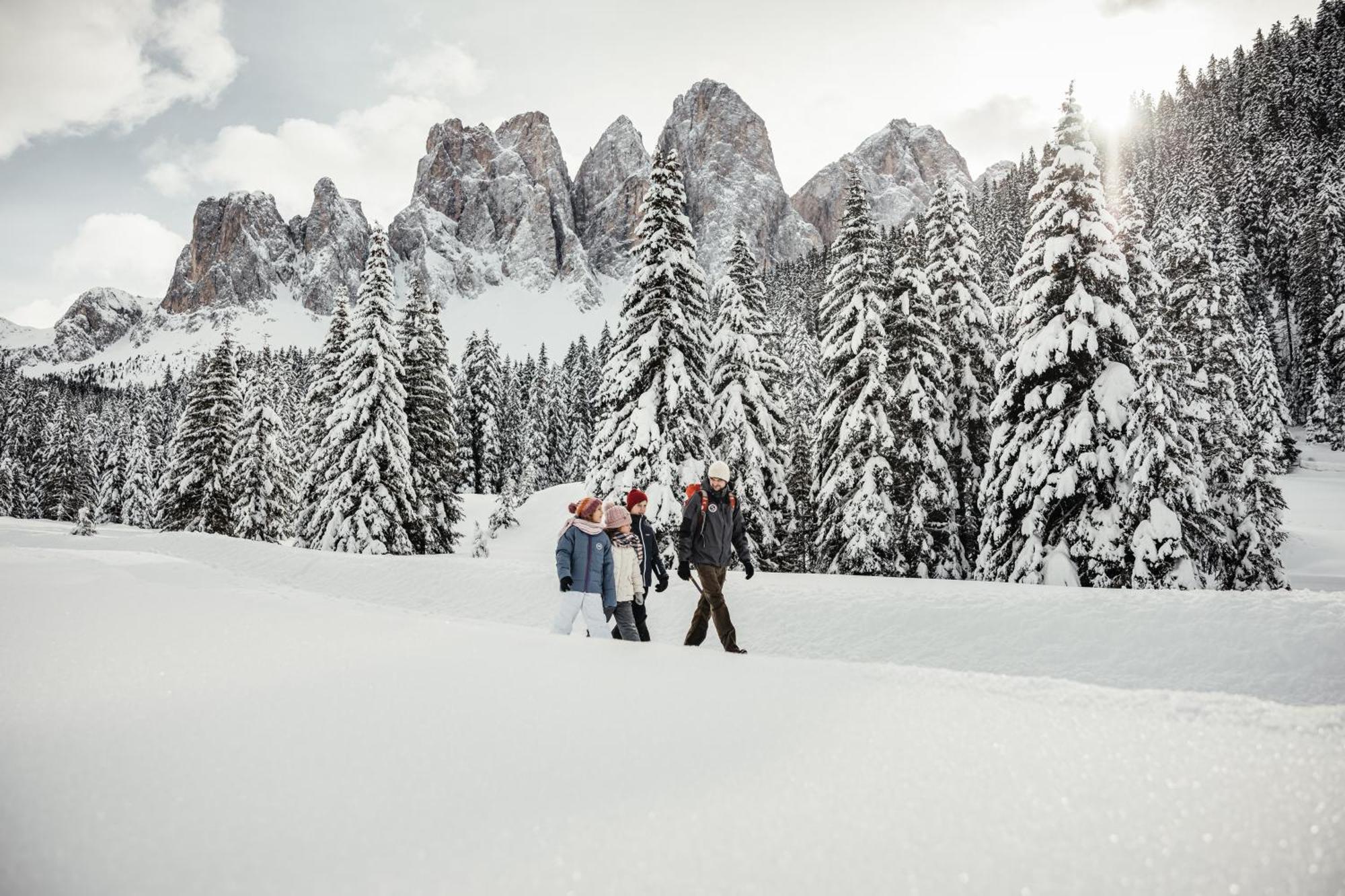 Apartament Ciasa Iachin - Dolomites Dream Retreat San Martino in Badia Zewnętrze zdjęcie