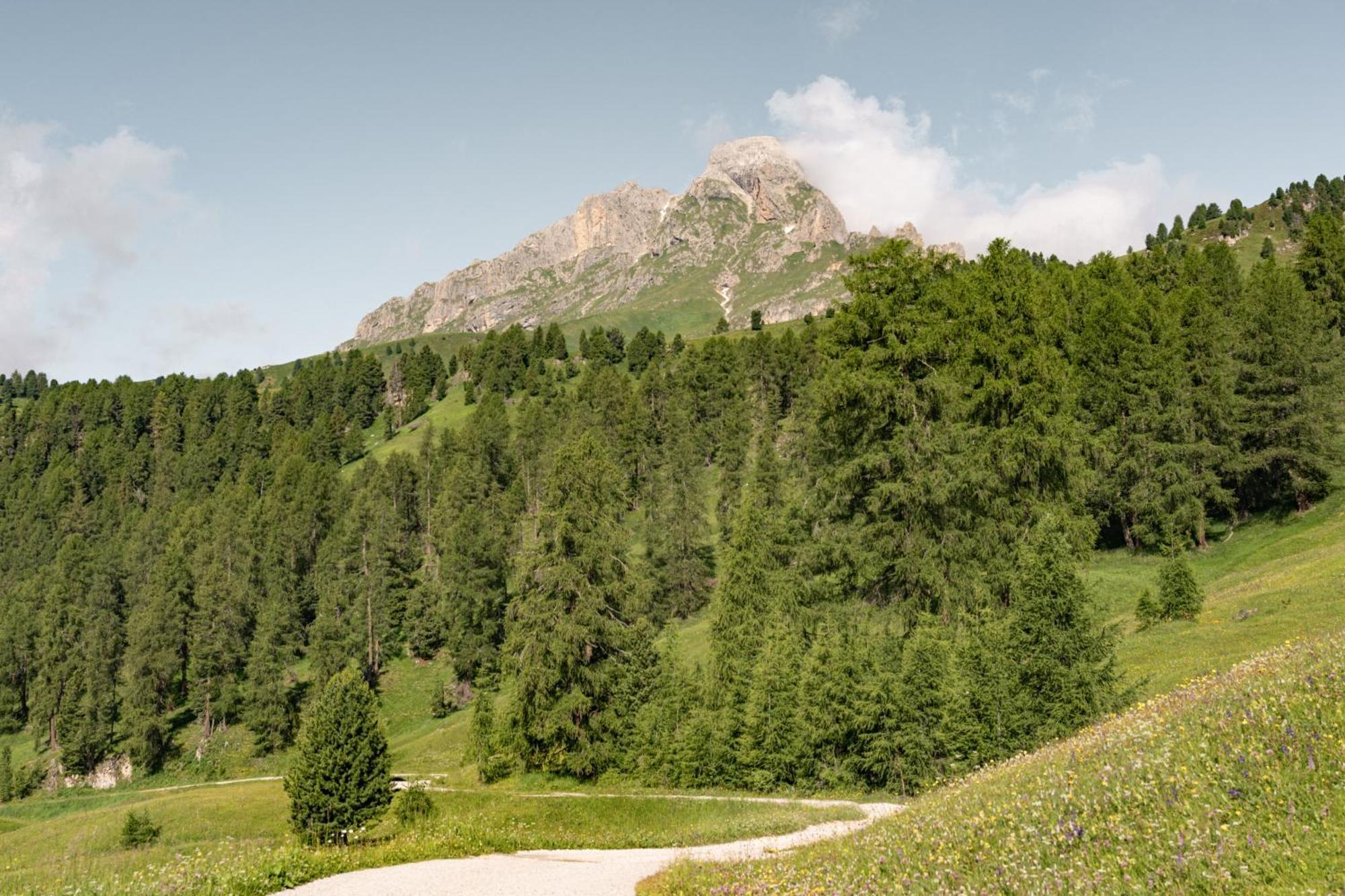 Apartament Ciasa Iachin - Dolomites Dream Retreat San Martino in Badia Zewnętrze zdjęcie