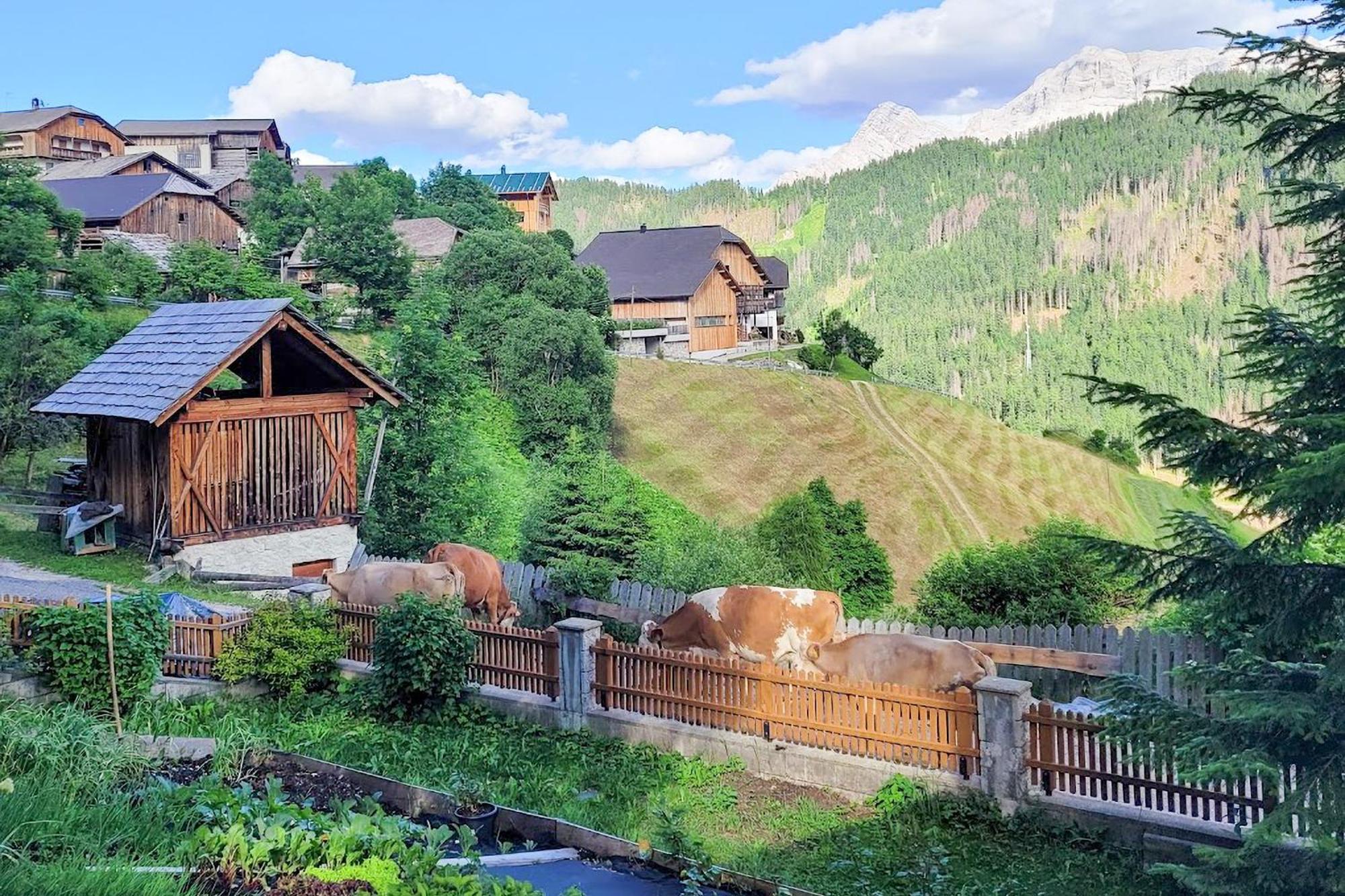 Apartament Ciasa Iachin - Dolomites Dream Retreat San Martino in Badia Zewnętrze zdjęcie
