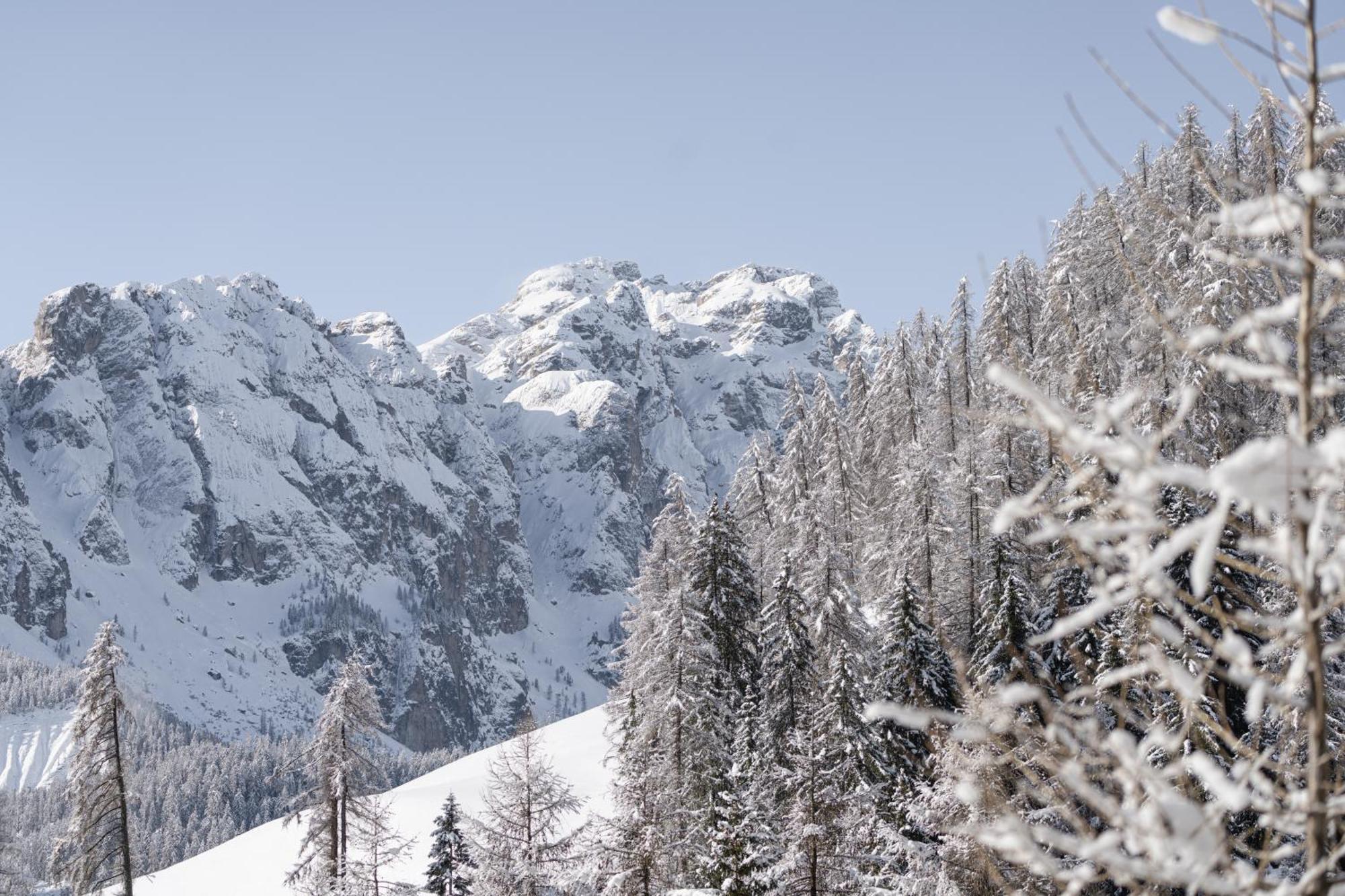 Apartament Ciasa Iachin - Dolomites Dream Retreat San Martino in Badia Zewnętrze zdjęcie